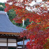 京都　二尊院