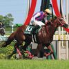 競馬初心者必見☆馬券予想🔥〜CBC賞〜買い方を変えて爆勝ちを狙う！