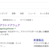 Googleの検索結果を英語にする