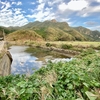 箕形湾の池（仮称）（長崎県対馬）