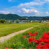 岡山～広島　井原鉄道で行く！ 実りの秋　ふるさと紀行（#296）