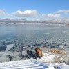 諏訪湖の氷模様