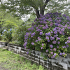 【宮城】お寺めぐり