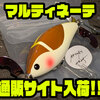 【レコード】ウッドボディWスイッシャー「マルティネーテ」通販サイト入荷！