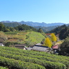 お盆休みは名古屋よりちょっと涼しい奥三河で旅ランがおすすめ。