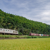 2024/09/28 4093レ EF510 301号機