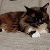 じーちゃんだけじゃなかったの？？