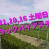 2021,10,16 土曜日 トラックバイアス予想 (東京競馬場、阪神競馬場、新潟競馬場)