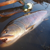 「家買っちゃえ」と魚に言われるような釣り。