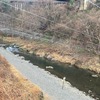 3月3日(月)秩父フライフィールドの河川情報