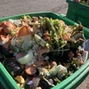 生ゴミの堆肥化　（コンポスト）
