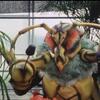 ハチシンカ