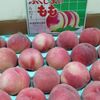 わーい！福島の桃が届きました。おすそ分けしなくちゃね。