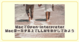 MacでOpen-interpreterのインストールとR言語の実行について: Macターミナル上でLLMを動かしてみよう