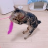 さすがでございます、ニナちゃん様