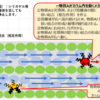 第8-3回．クロマトグラフィーの分離原理を詳しく解説