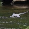 榛原子供の森公園