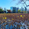 東京旅その2 上野ぶらぶら