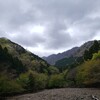 神奈川県 渓流釣り！！
