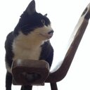 逢田のブログ