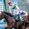 競馬初心者必見☆馬券予想🔥〜ラジオNIKKEI賞〜秋の飛躍に向けた大事な一戦