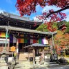 【京都】『今熊野観音寺』に行ってきました。京都紅葉 そうだ京都行こう 京都観光