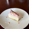 桜のレアチーズケーキのお話。
