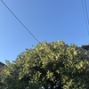 雲一つない晴天なのに…あー！もったいない！