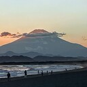 ヤングハーツの掲示板