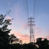 Photo No.1976 / 今週も無事…