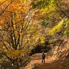 #145  秋山逍遥　綿向山（滋賀）