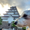 ❝ 鶴ヶ城 ❞ 愛犬とおでかけ-福島県観光🎵　2021年10月9日⑦
