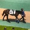 東京競馬4R パドック直前予想 ◎4 ゴーアブロード