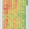 ヒートマップ比べ（データ：プリキュア視聴率、ツール：Excel）