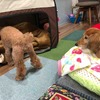 本日は営業しています