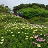 花の山旅ー①