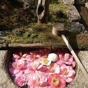 aiichiro-matsuura’s blog