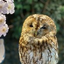 こころのブログ