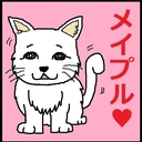 キジトラ猫の物語　　 ～姉妹ニャンコの、佐世保弁、ときどき、博多弁～