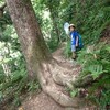 山登り