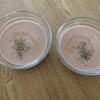 【簡単レシピ】材料２つ混ぜるだけ。夏の朝ごはんは「トマトクリームスープ」をよく作ります。
