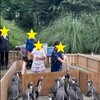 【お出かけスポット】【埼玉】【東松山】私がいない間に埼玉県こども動物自然公園に行っていました 