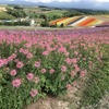 次の旅行は娘の引っ越し先へ。それにして、時代の進歩は凄すぎます。