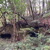 徳増下谷横穴墓群(その1)  長柄町徳増