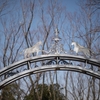 根岸森林公園の梅リベンジ2013