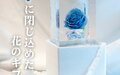 【氷華®】超透明の氷のアート『がっちりマンデー！！』で紹介！購入方法は？