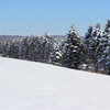 雪景色（2月19日）