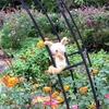 色とりどりのお花たち～森林公園～