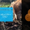 吠えは言葉