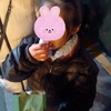 今宮戎神社　十日えびす　療育手帳でお出かけ　障がい児育児